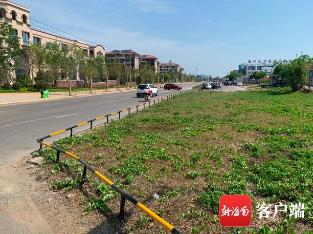 新合埠路最新動態(tài)，邁向未來的城市主干道重塑與升級