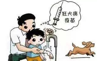 最新狂犬病發(fā)作視頻，理解與應(yīng)對的挑戰(zhàn)