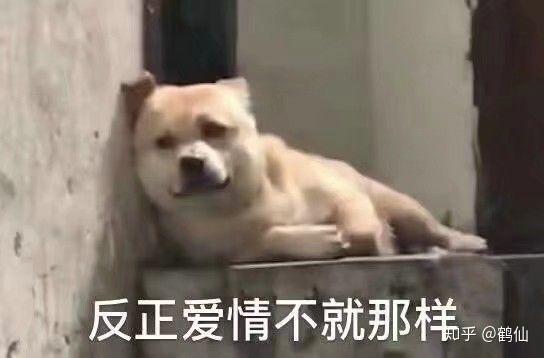 微信最新表情包含義，探索表情背后的故事與情感表達