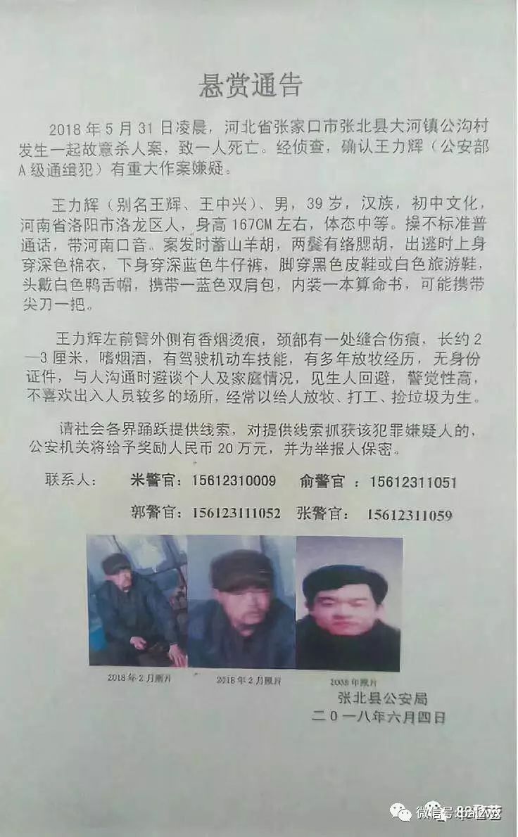 網(wǎng)上最新通緝犯名單，社會安全的警鐘長鳴