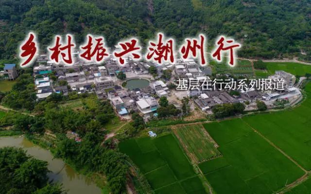 牧馬鎮(zhèn)蓮花村最新規(guī)劃，鄉(xiāng)村振興的藍圖展望