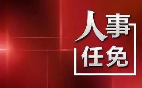 中央最新人事任免，蔡某某的新職務(wù)與未來展望