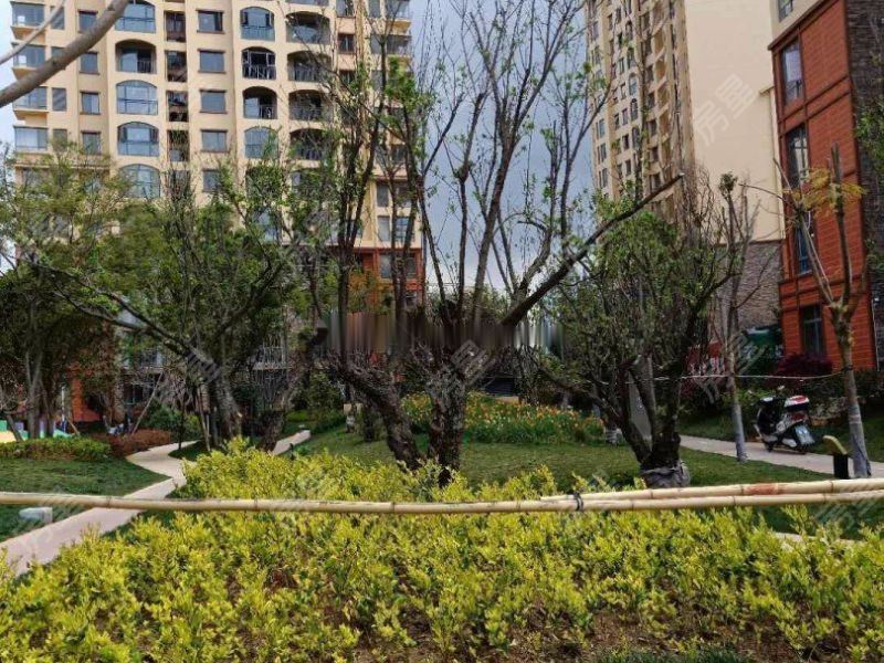 昆明紫香園最新動(dòng)態(tài)，揭開這座園林新篇章的奧秘