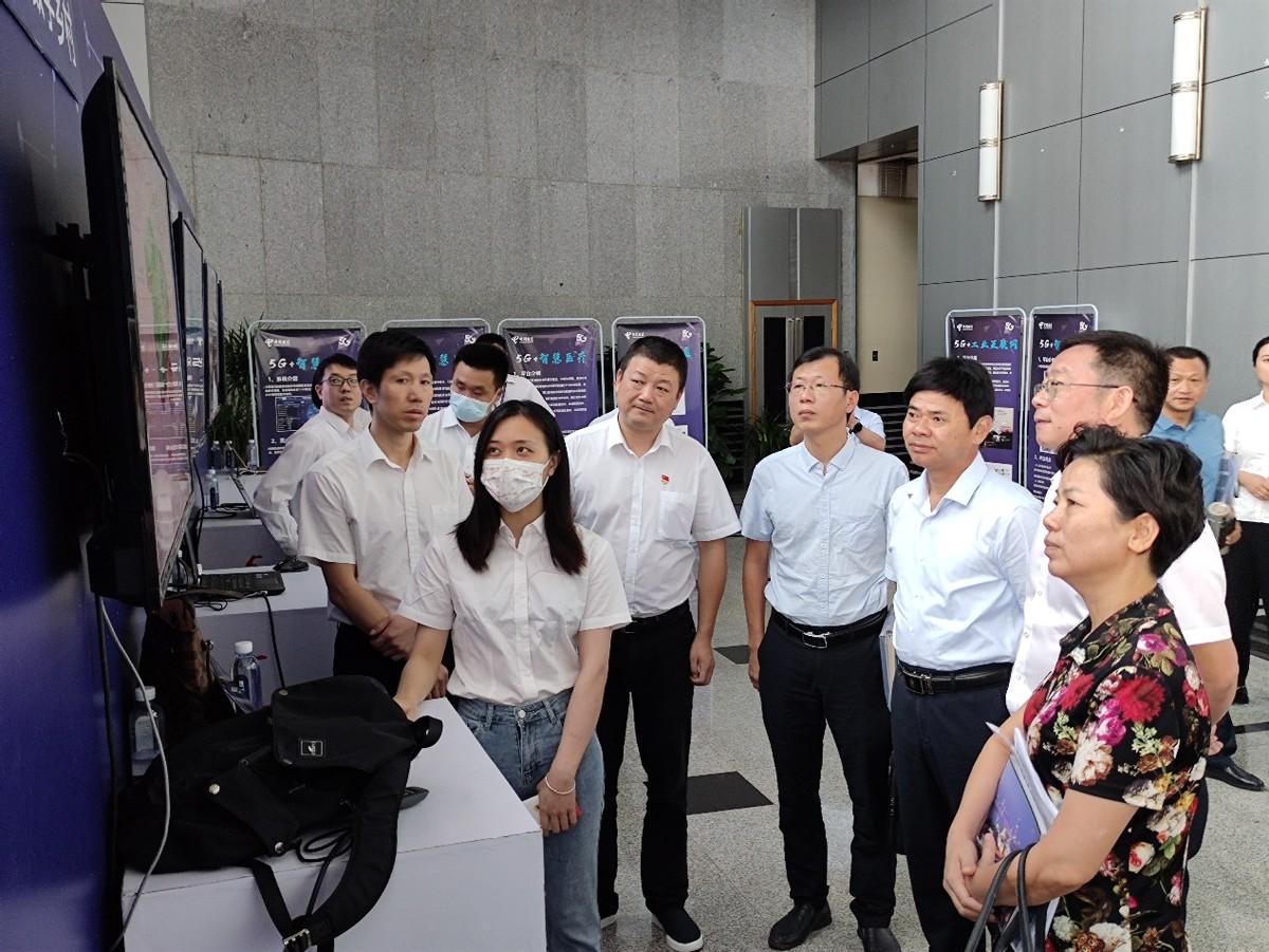 最新鳳凰衛(wèi)視直播源，探索與體驗