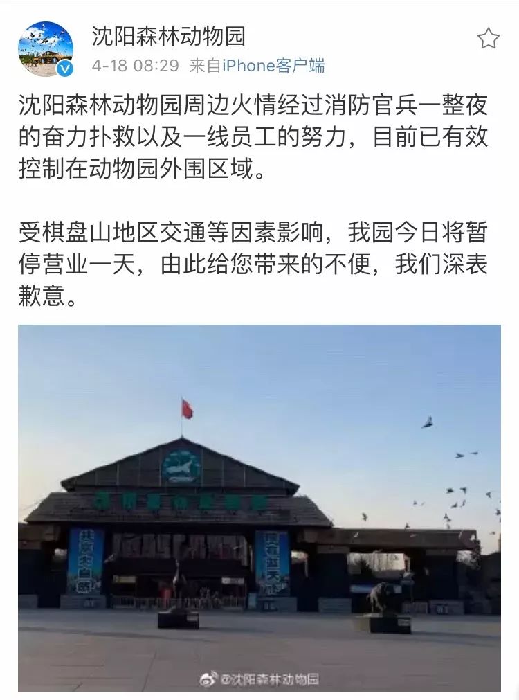 今天沈陽火災最新消息