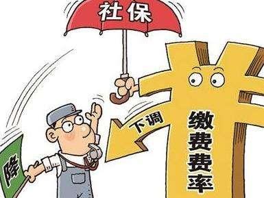 上海最新社?；鶖?shù)