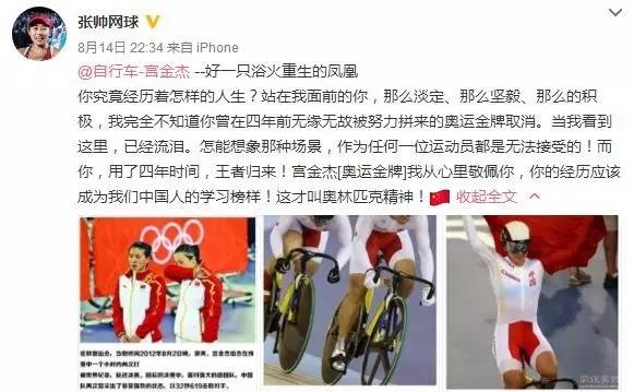 新澳門火鳳凰，力量釋義、解釋與落實資料大全