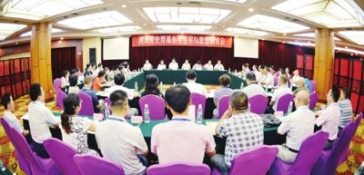 澳門王中王100的資料論壇，深入解析與落實(shí)的探討