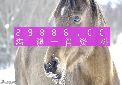澳門一肖一碼100準免費，揭示背后的真相與風險