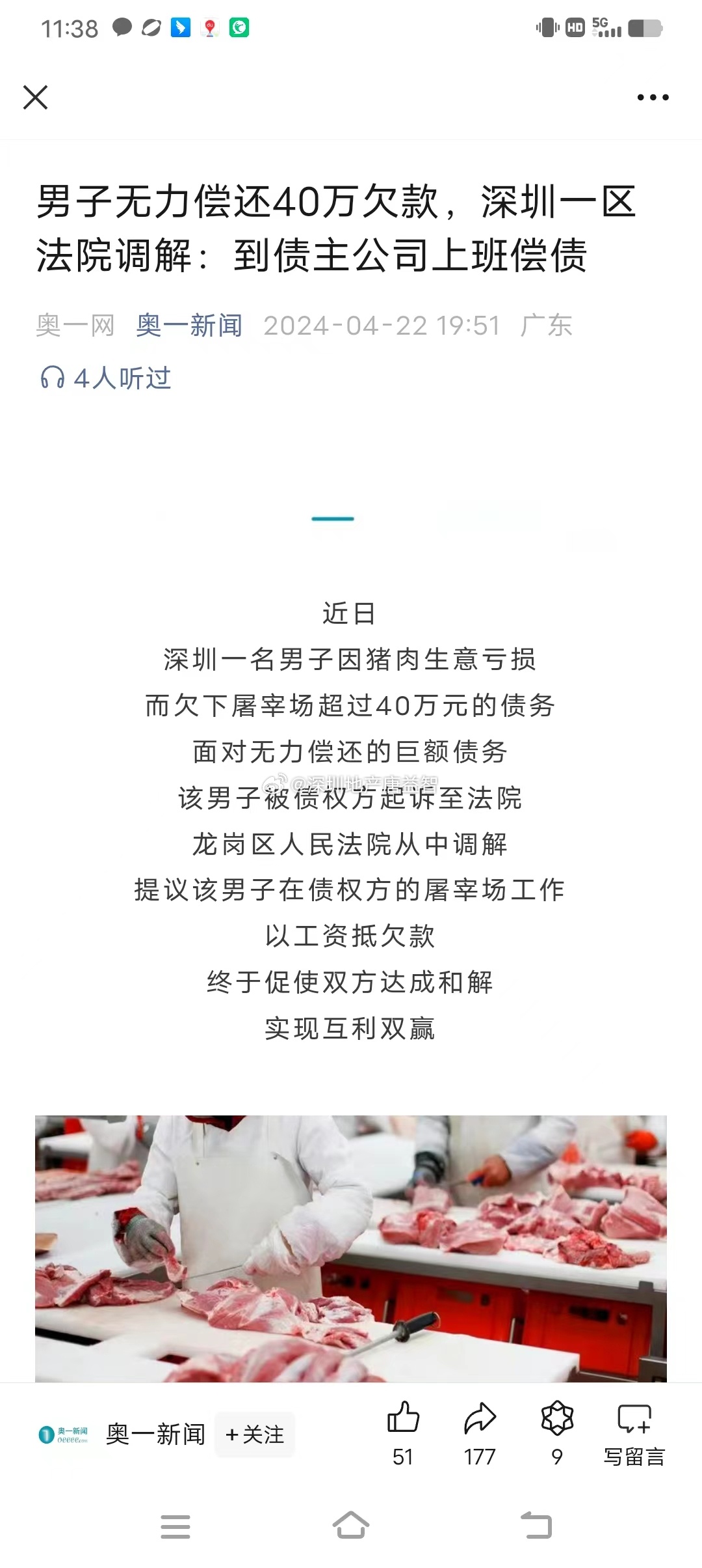一肖一碼一一肖一子在深圳，瞬時釋義、解釋與落實