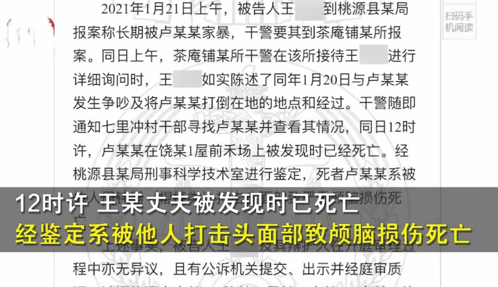 澳門正版精準(zhǔn)免費大全，揭示犯罪與合法之間的界限