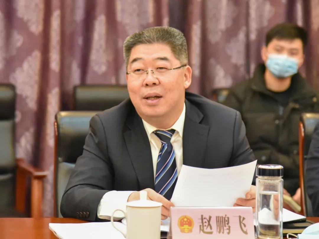 肥鄉(xiāng)房子最新消息，市場趨勢、政策影響及未來展望