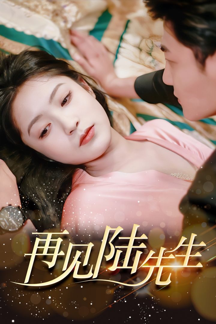 再見許先生最新章節(jié)，重逢的序曲